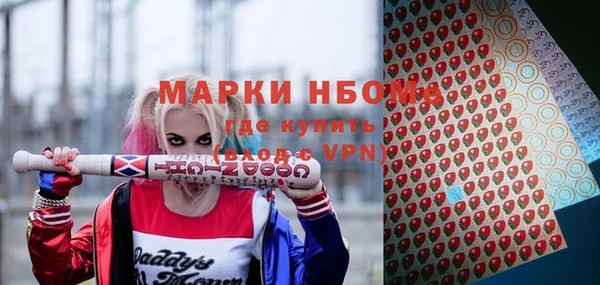 стаф Касимов