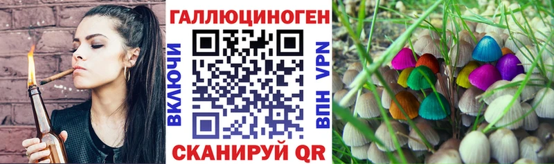 закладки  Заволжье  Псилоцибиновые грибы мицелий 